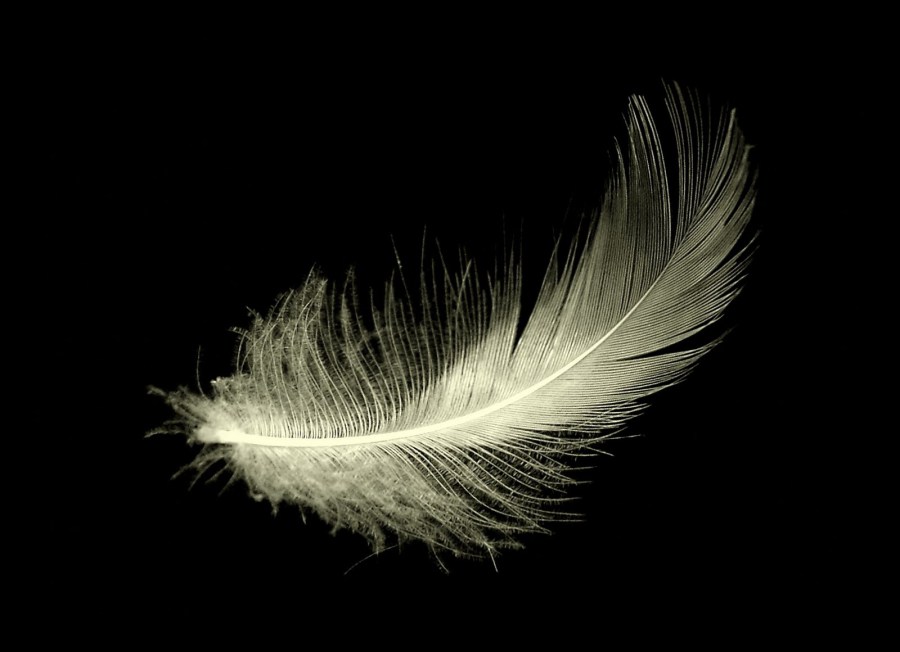 Pluma - Villalba Interiorismo