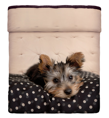 Edredón Bassetti - Villalba Interiorismo (3)